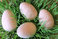 Dřevěné vejce - kraslice 40x59